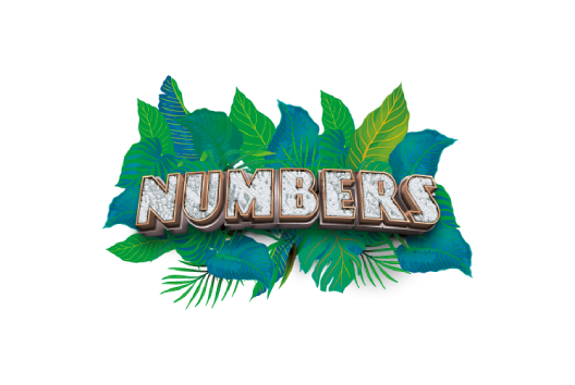 Numbers