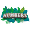 Numbers